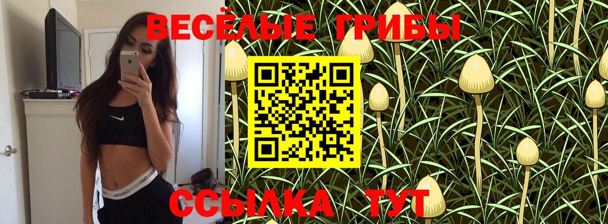 Псилоцибиновые грибы мицелий Северск