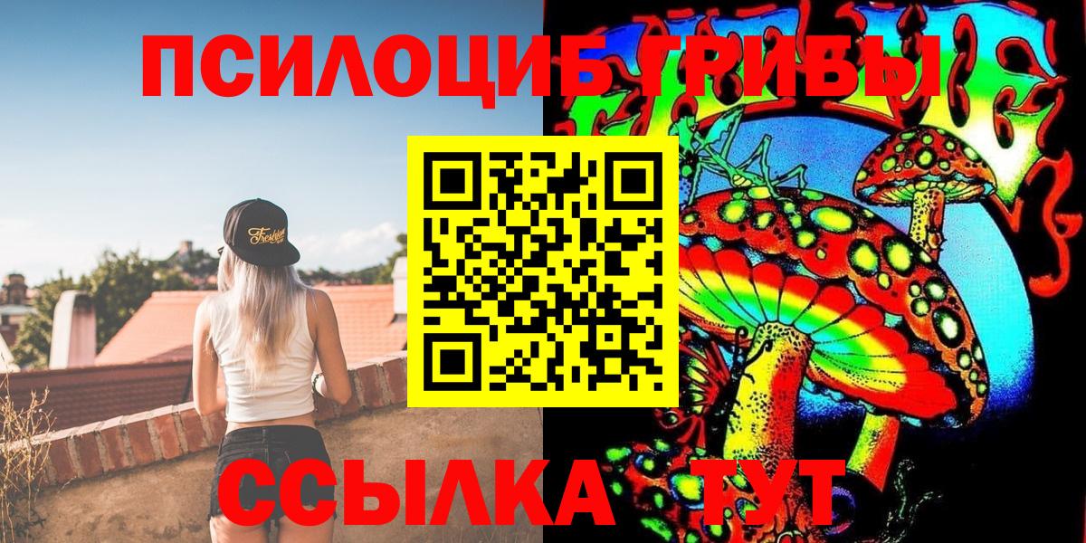 Псилоцибиновые грибы MAGIC MUSHROOMS  Псилоцибиновые грибы мицелий  Северск  Вход с VPN 